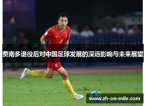 费南多退役后对中国足球发展的深远影响与未来展望