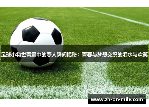 足球小将世青篇中的感人瞬间揭秘：青春与梦想交织的泪水与欢笑