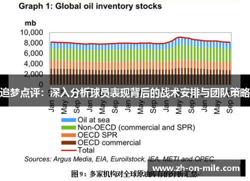 追梦点评：深入分析球员表现背后的战术安排与团队策略