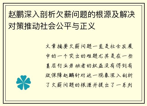 赵鹏深入剖析欠薪问题的根源及解决对策推动社会公平与正义